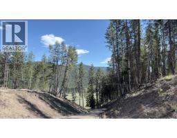 5600 Christian Valley Road, Westbridge, BC V0H1Y0 Photo 31