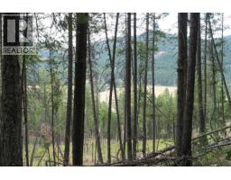 5600 Christian Valley Road, Westbridge, BC V0H1Y0 Photo 13