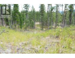 5600 Christian Valley Road, Westbridge, BC V0H1Y0 Photo 15