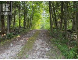 50 South Fork Drive, Kawartha Lakes, ON K0M1K0 Photo 22