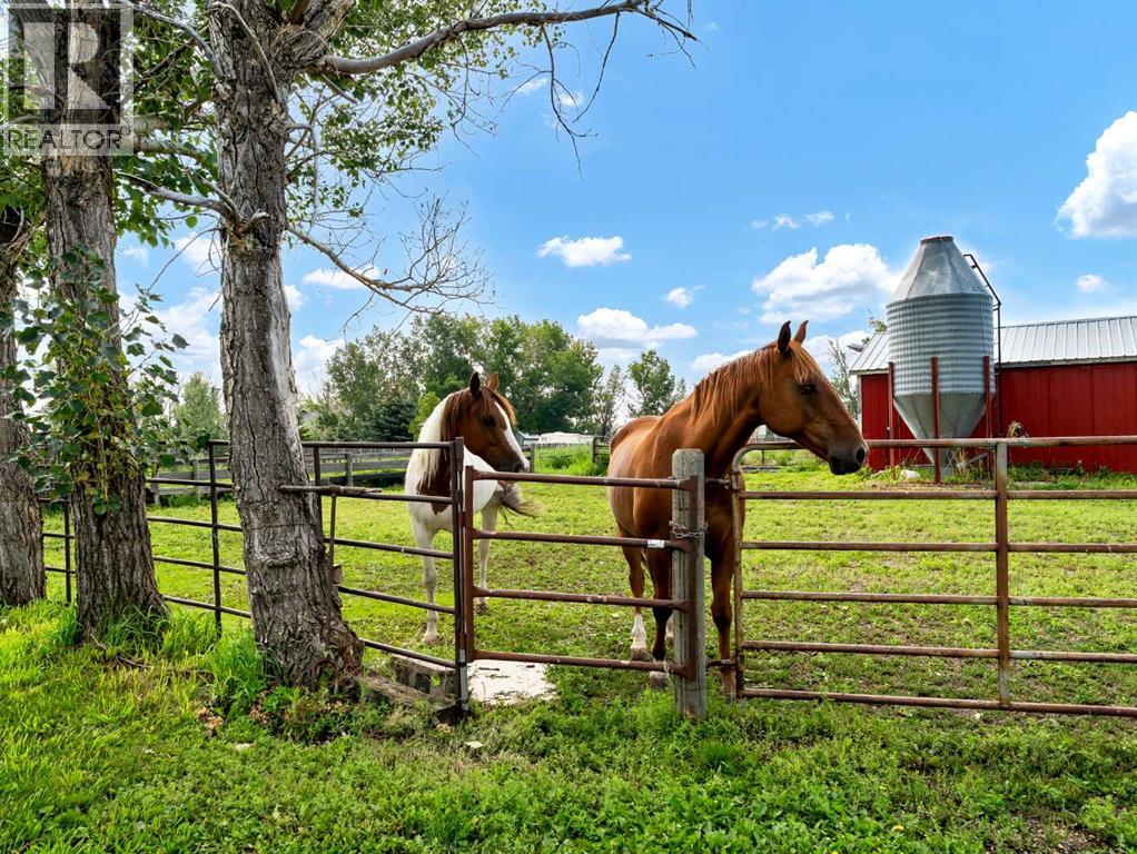 12228 Range Road 64 - Photo 37