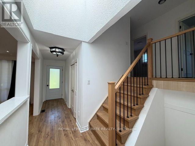 11 FULWELL CRESCENT - 18