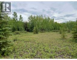 14509 Sackner Road, Vanderhoof, BC V0J3A2 Photo 10