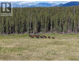 Km 1500 Alaska Highway, Whitehorse North, YT Y1A6M7 Photo 83