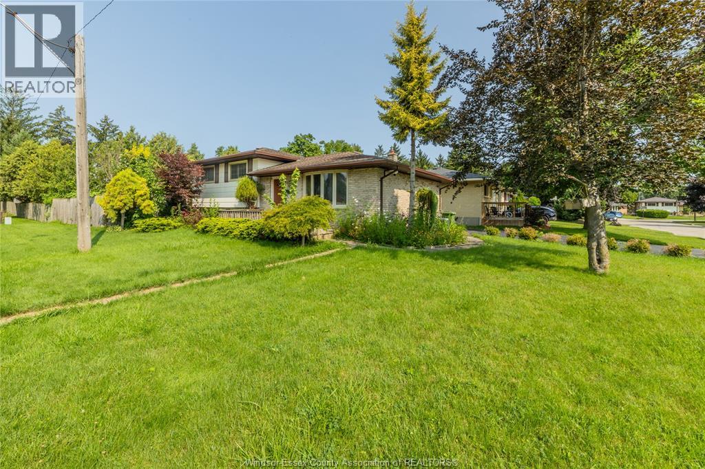 39 PATRICIA STREET - 1