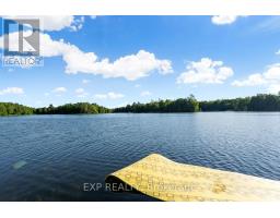 25 Fire Rt. 296, Trent Lakes, ON K0L1J0 Photo 40
