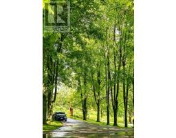 333 Mccrae Station Road, Hamilton, ON N0B2J0 Photo 46