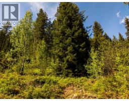 Lot C Woodland Drive, Taghum, BC V1L6W9 Photo 21