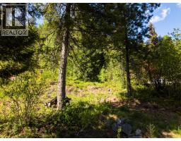 Lot C Woodland Drive, Taghum, BC V1L6W9 Photo 19