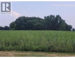 221 Holt Line, St Clair, ON N0P2B0 Photo 24