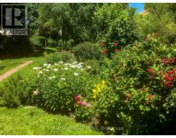 2674 Lone Birch Trail, Ramara, ON L0K1B0 Photo 9