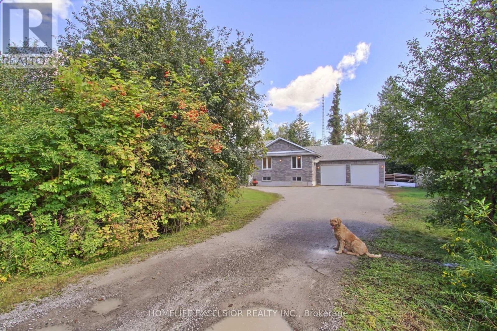 22823 WEIRS SIDE ROAD - 41