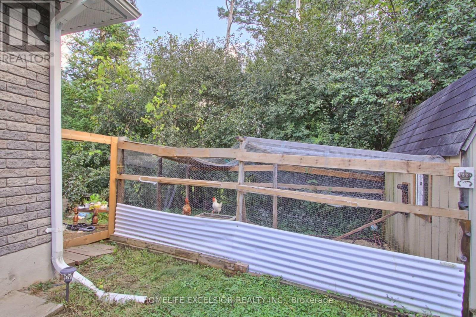 22823 WEIRS SIDE ROAD - 43