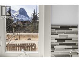 Furnace - 1, 1406 2nd Avenue, Canmore, AB T1W1M9 Photo 8
