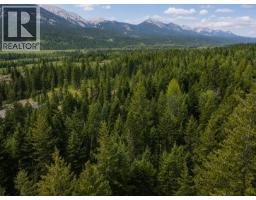 1260 Whitetail Drive, Golden, BC V0A1H7 Photo 16