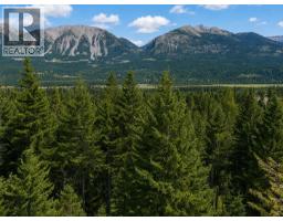 1260 Whitetail Drive, Golden, BC V0A1H7 Photo 14