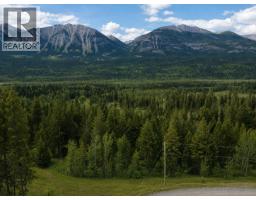 1260 Whitetail Drive, Golden, BC V0A1H7 Photo 22