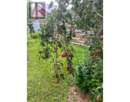 0000 Queen Street, South Glengarry, ON K0C1N0 Photo 12