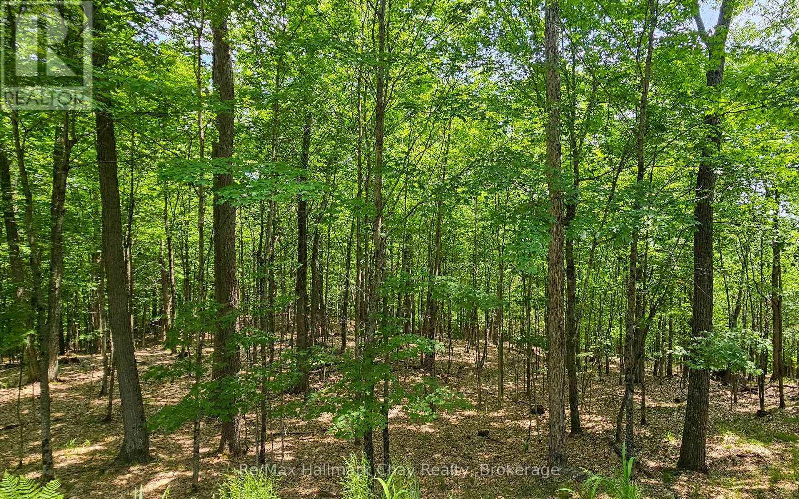 1497 FOX POINT ROAD - Image 39