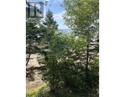 222 Old Trunk 1, Deep Brook, NS B0S1J0 Photo 44