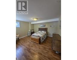 448 Grand Mira South Rd Road, Juniper Mountain, NS B1K1G2 Photo 19