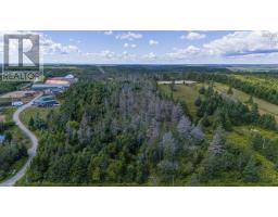 57 Conrod Road, Grand Desert, NS B0J2L0 Photo 16