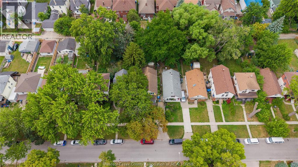 211 CAMERON - 33