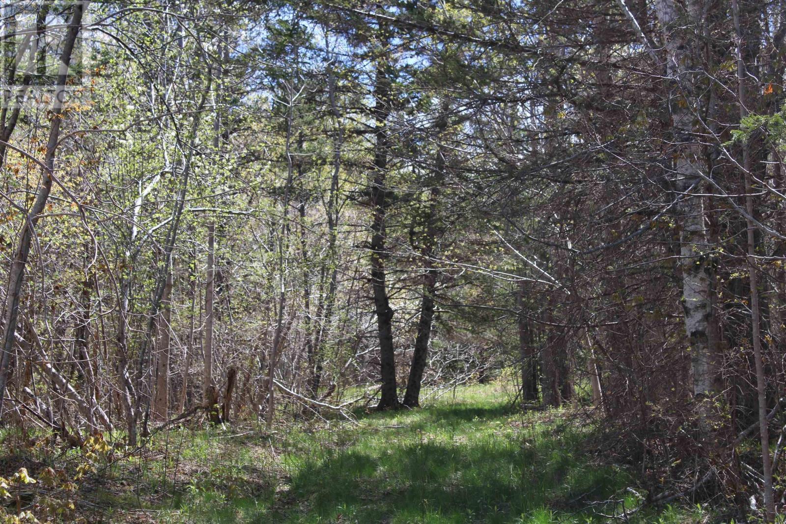 Highway 1, Clementsport — photo 2
