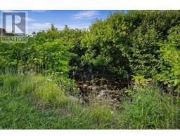 1251 White Point Rd, Smelt Brook, NS B0C1G0 Photo 34