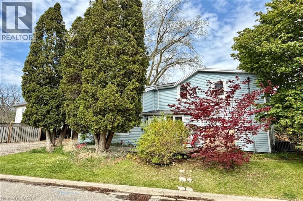 1 JOHN Avenue