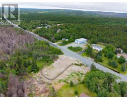 86 Conception Bay Highway Parcel B thumbnail 4