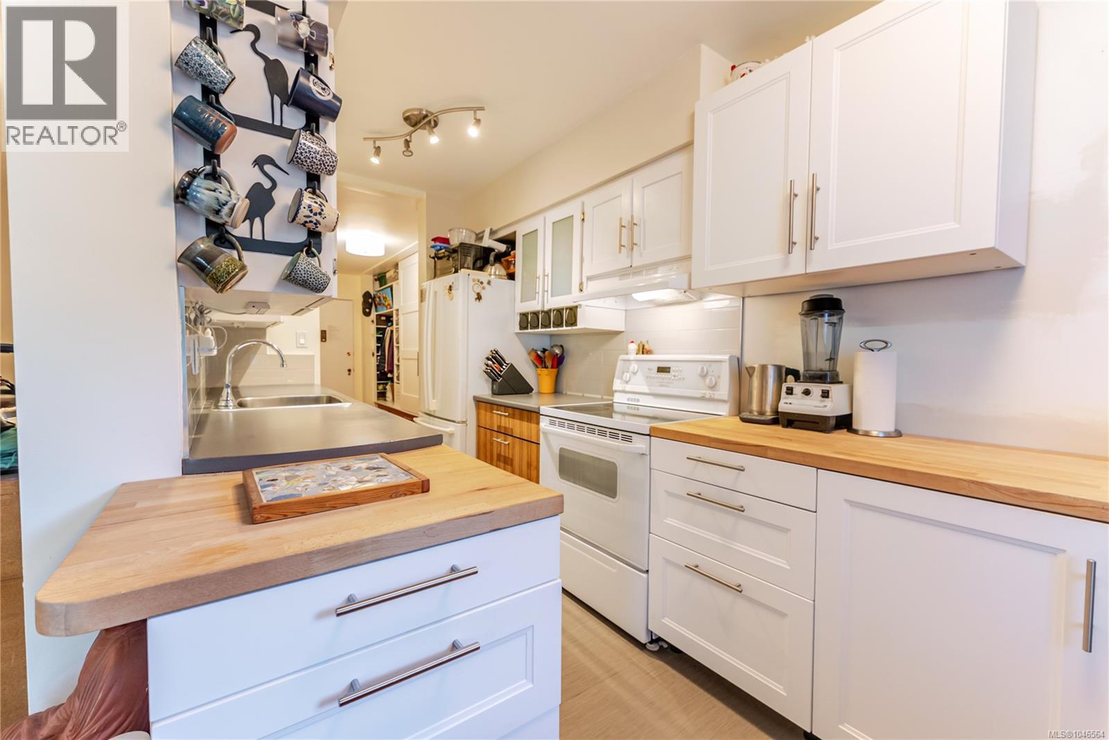 #101 250 Douglas St - 11