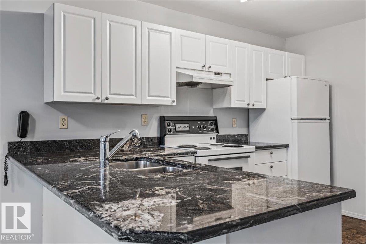 #202 8503 108 ST NW, Garneau, Edmonton photo 3