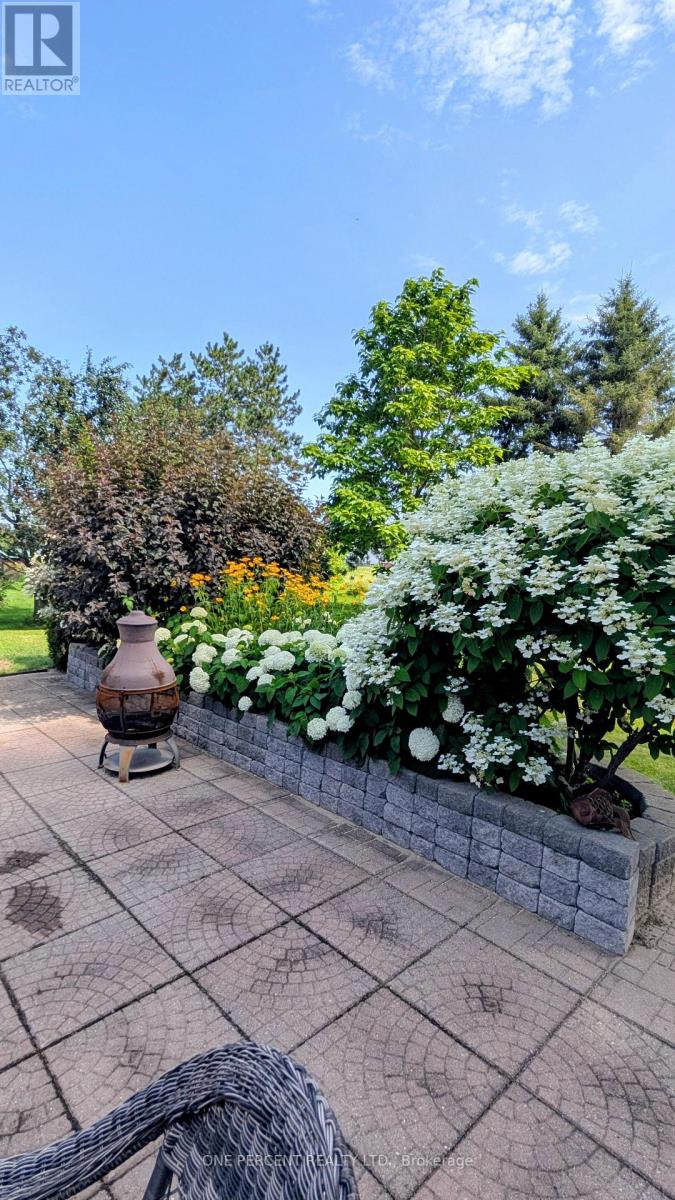 3061 BRIDGE STREET - 32
