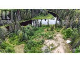 Other - 19573 Highway #118 Highway E, Highlands East, ON K0L3C0 Photo 11