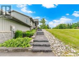 386113 20 Side Road, Mono, ON L9W6V2 Photo 48
