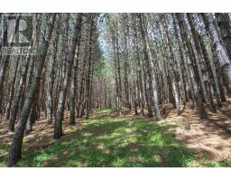 2370 Base Line Rd, Prince Township, ON P6A6K4 Photo 31