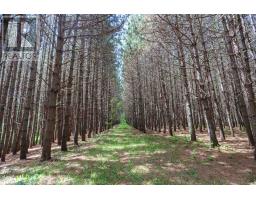 2370 Base Line Rd, Prince Township, ON P6A6K4 Photo 30