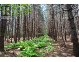 2370 Base Line Rd, Prince Township, ON P6A6K4 Photo 28