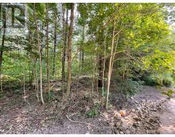 263625 Southgate Rd 26, Southgate, ON N0G1R0 Photo 8