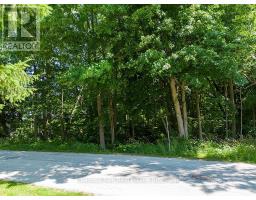 227 Eliza Street, Meaford, ON N4L1B4 Photo 11
