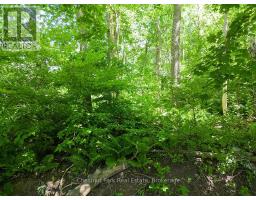 227 Eliza Street, Meaford, ON N4L1B4 Photo 14
