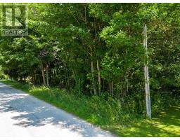227 Eliza Street, Meaford, ON N4L1B4 Photo 9