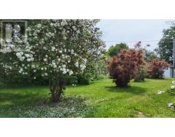 5381 Highway 19, Judique, NS B0E1P0 Photo 43