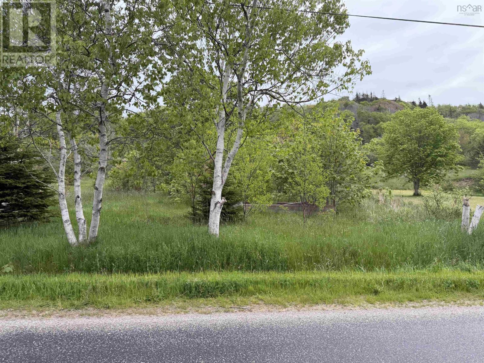 262 Trout Cove Road