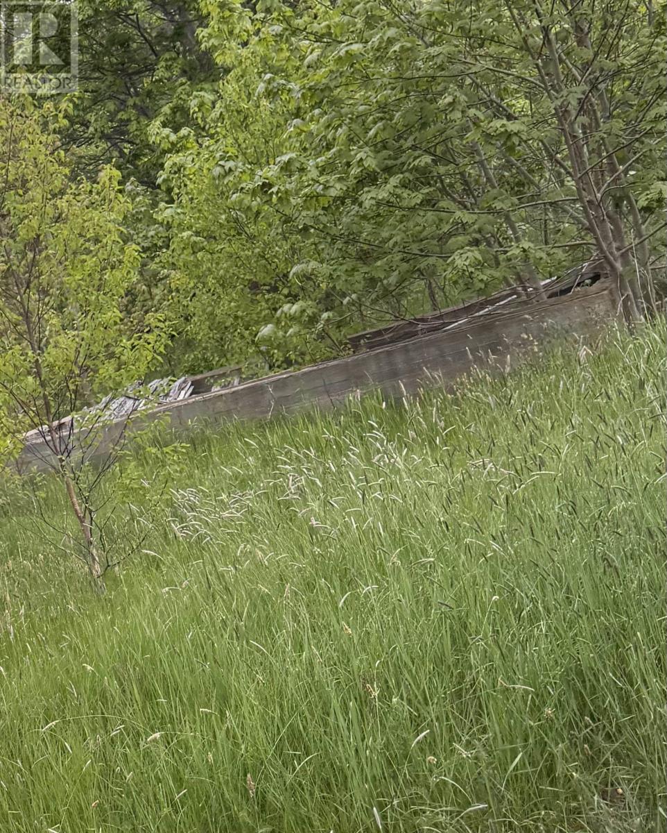 Property 6 of 8 of 262 Trout Cove Road