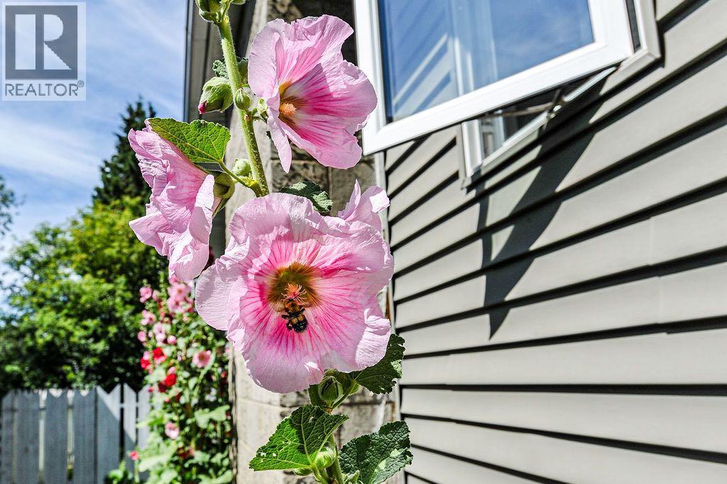 4708 47 Street - 31
