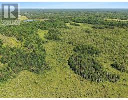 0 Concession 7 Road, Tay Valley, ON K0H2B0 Photo 7