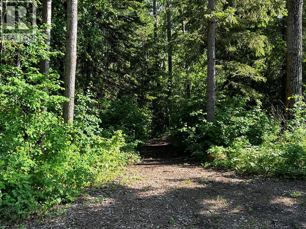 10032 Township Road 422 - Photo 7