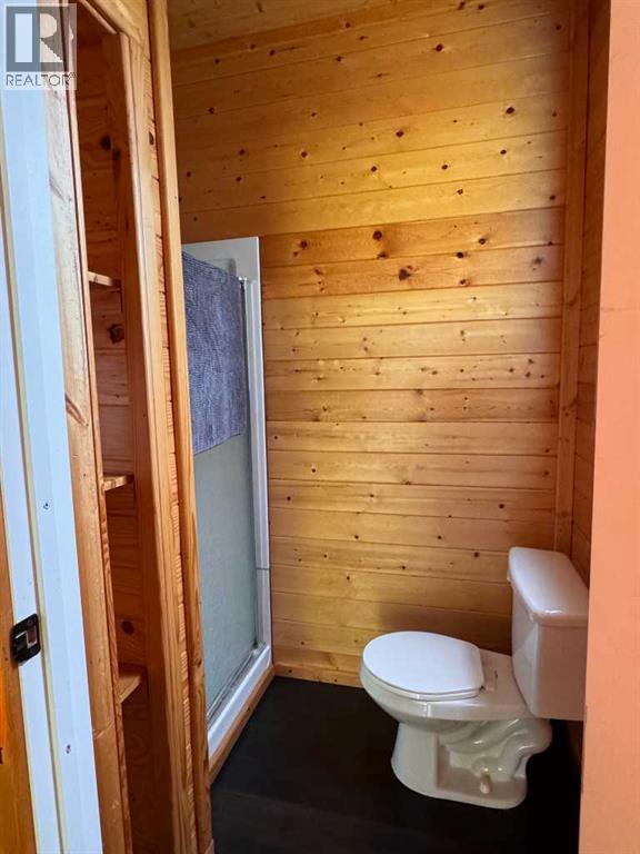 10046 TOWNSHIP ROAD 422 - Photo 17